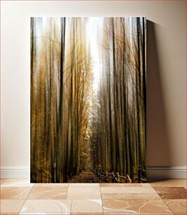 Πίνακας, Pathway Through the Enchanted Forest Pathway Through the Enchanted Forest