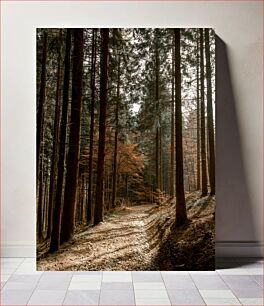 Πίνακας, Pathway Through the Forest Μονοπάτι Μέσα από το Δάσος