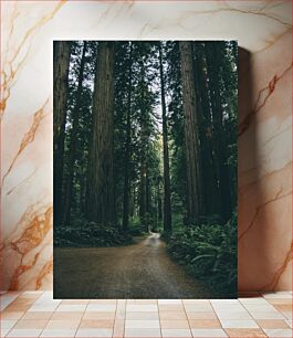 Πίνακας, Pathway Through the Redwood Forest Pathway Through the Redwood Forest