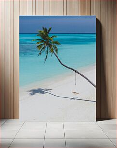 Πίνακας, Peaceful Beach with Palm Tree and Ocean View Ήσυχη παραλία με φοίνικα και θέα στον ωκεανό