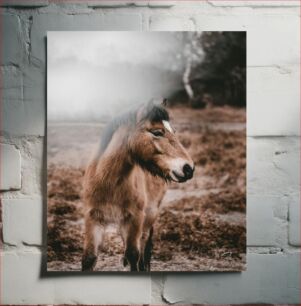 Πίνακας, Peaceful Horse in Natural Habitat Ειρηνικό άλογο σε φυσικό βιότοπο