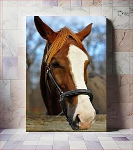 Πίνακας, Peaceful Horse Ειρηνικό άλογο