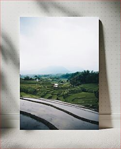 Πίνακας, Peaceful Rice Terraces Ειρηνικές βεράντες ρυζιού