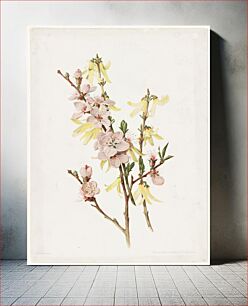 Πίνακας, Peach blossoms and forsythia