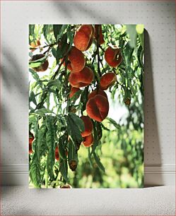 Πίνακας, Peach Tree Branch Κλαδί ροδακινιάς