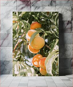 Πίνακας, Peaches on a Tree Ροδάκινα σε ένα δέντρο