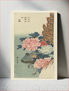 Πίνακας, Peacock and Peonies by Utagawa Hiroshige