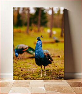 Πίνακας, Peacock in a Forest Παγώνι σε ένα δάσος