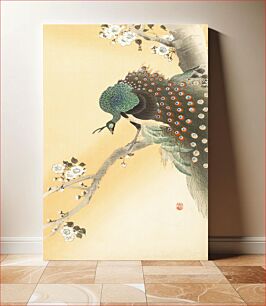 Πίνακας, Peacock on a cherry blossom tree (1900-1930) by Ohara Koson (1877-1945)