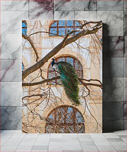 Πίνακας, Peacock on a Tree Branch Παγώνι σε κλαδί δέντρου