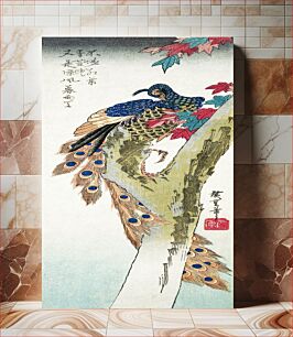 Πίνακας, Peacock perched on a maple tree (1833) vintage Japanese woodblock print by Utagawa Hiroshige