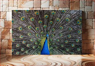 Πίνακας, Peacock with Spread Feathers Παγώνι με Απλωμένα Φτερά