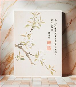 Πίνακας, Pear Blossom from a Flower Album of Ten Leaves (1656) by Xiang Shengmo