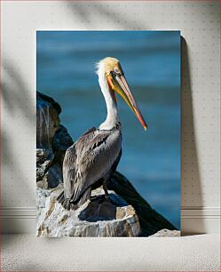 Πίνακας, Pelican by the Sea Pelican by the Sea