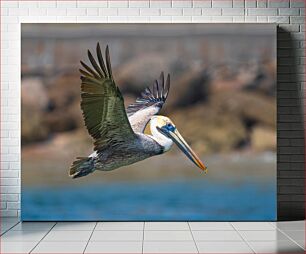 Πίνακας, Pelican in Flight Πελεκάνος σε πτήση