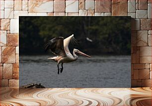 Πίνακας, Pelican in Flight Over Water Πελεκάνος σε πτήση πάνω από το νερό