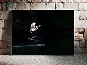 Πίνακας, Pelican in Flight Over Water Πελεκάνος σε πτήση πάνω από το νερό