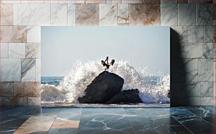 Πίνακας, Pelican on Rock by the Sea Pelican on Rock by the Sea