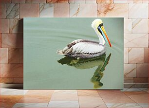 Πίνακας, Pelican on Water Πελεκάνος στο νερό