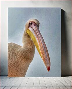 Πίνακας, Pelican Portrait Πορτρέτο πελεκάνου