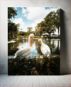 Πίνακας, Pelicans by the Pond Πελεκάνοι δίπλα στη λίμνη
