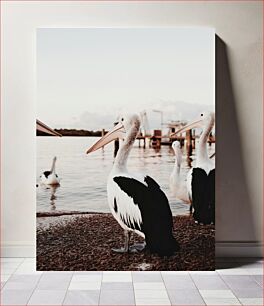 Πίνακας, Pelicans by the Water Πελεκάνοι δίπλα στο νερό