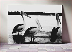 Πίνακας, Pelicans by the Water Πελεκάνοι δίπλα στο νερό