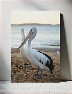 Πίνακας, Pelicans on the Beach Πελεκάνοι στην παραλία
