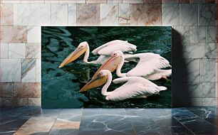 Πίνακας, Pelicans on Water Πελεκάνοι στο νερό