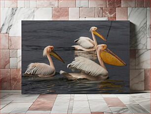 Πίνακας, Pelicans on Water Πελεκάνοι στο νερό