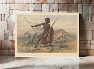 Πίνακας, Pen & pencil reminiscences of a campaign in South Africa / by Thomas J. Lucas ... ; illustrated with beautiful colour-tinted lithographs