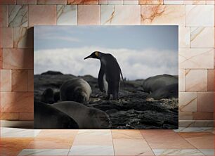 Πίνακας, Penguin Among Seals Πιγκουίνος ανάμεσα στις φώκιες