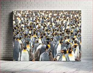 Πίνακας, Penguin Colony Αποικία πιγκουίνων