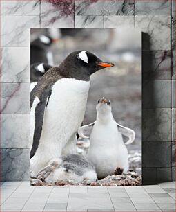Πίνακας, Penguin Family Οικογένεια πιγκουίνων