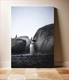 Πίνακας, Penguin on Rocky Beach Penguin on Rocky Beach