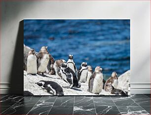 Πίνακας, Penguins by the Sea Πιγκουίνοι δίπλα στη θάλασσα