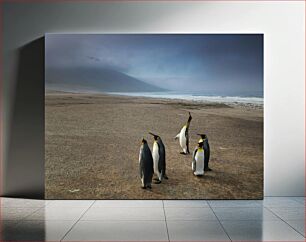 Πίνακας, Penguins by the Seashore Πιγκουίνοι δίπλα στη θάλασσα