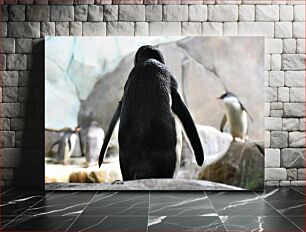 Πίνακας, Penguins in Natural Habitat Πιγκουίνοι σε φυσικό βιότοπο