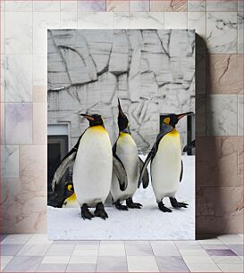 Πίνακας, Penguins in the Snow Πιγκουίνοι στο χιόνι