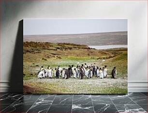 Πίνακας, Penguins on a Field Πιγκουίνοι σε ένα χωράφι