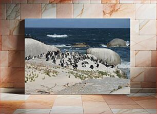 Πίνακας, Penguins on a Rocky Beach Πιγκουίνοι σε μια βραχώδη παραλία