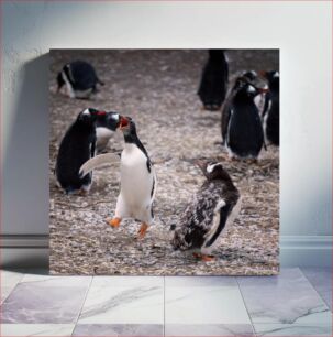 Πίνακας, Penguins on Rocky Ground Πιγκουίνοι στο Βραχώδες έδαφος