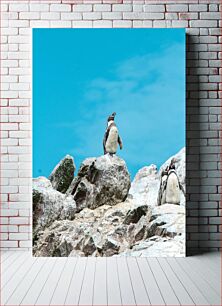 Πίνακας, Penguins on Rocky Shore Πιγκουίνοι στη Βραχώδη Ακτή