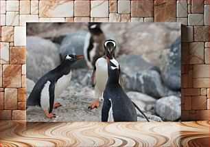 Πίνακας, Penguins on Rocky Terrain Πιγκουίνοι στο βραχώδες έδαφος