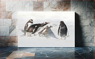 Πίνακας, Penguins on Snow Πιγκουίνοι στο χιόνι
