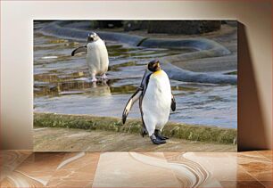 Πίνακας, Penguins on Wet Surface Πιγκουίνοι σε υγρή επιφάνεια