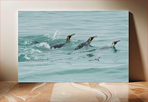 Πίνακας, Penguins Swimming in the Ocean Πιγκουίνοι που κολυμπούν στον ωκεανό