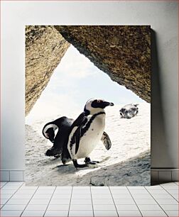 Πίνακας, Penguins under Rocky Arch Πιγκουίνοι κάτω από το Rocky Arch