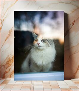 Πίνακας, Pensive Cat by the Window Σκεπτική γάτα δίπλα στο παράθυρο