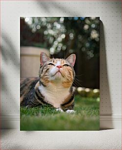 Πίνακας, Pensive Cat in the Garden Σκεπτική γάτα στον κήπο